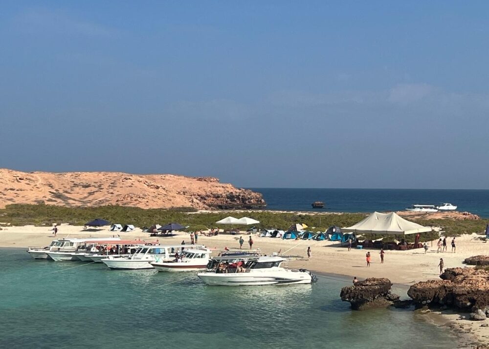 Dimaniyat Islands receive 96,625 visitors in 2024